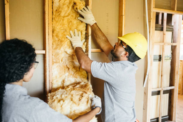 Types of Insulation We Offer in Florida City, FL